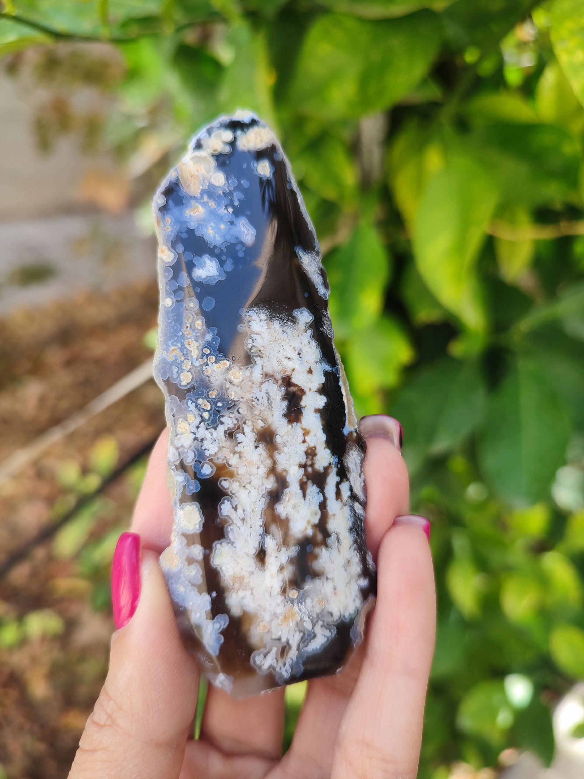 شجر بهاری کلکسیونی پولیش خورده