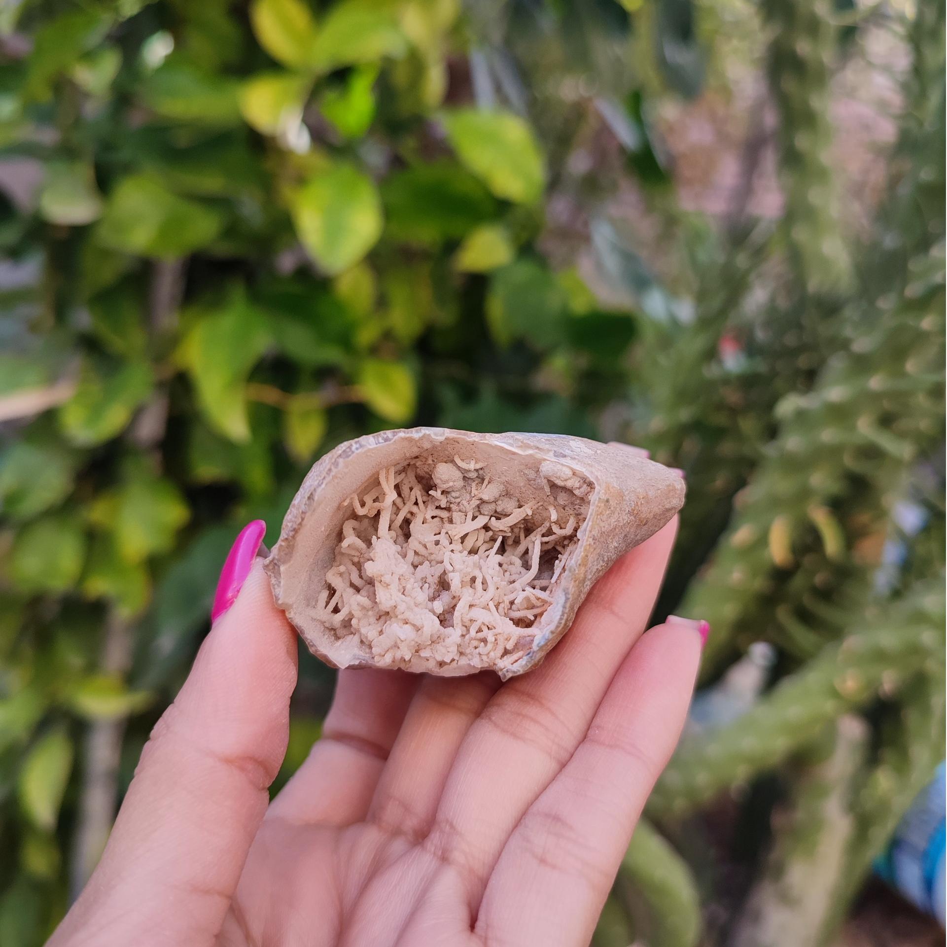 سنگ کلکسیونی خیلی خاص