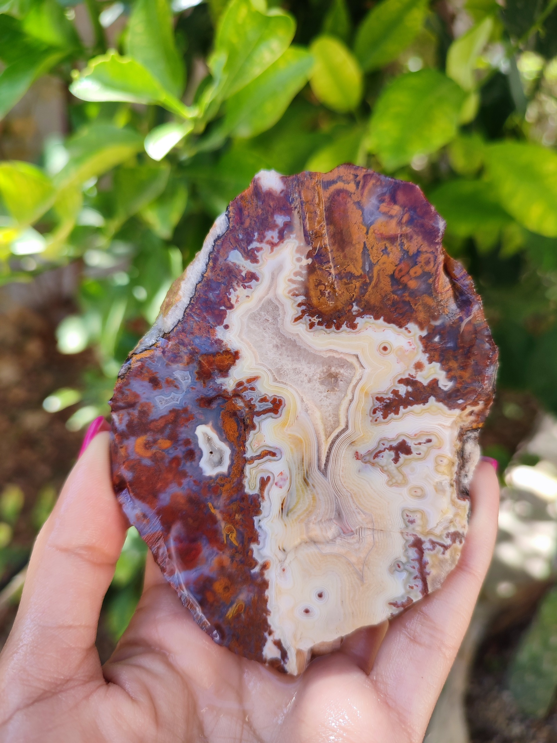 راف آبرنگی جاسپر