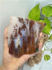راف