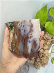 راف
