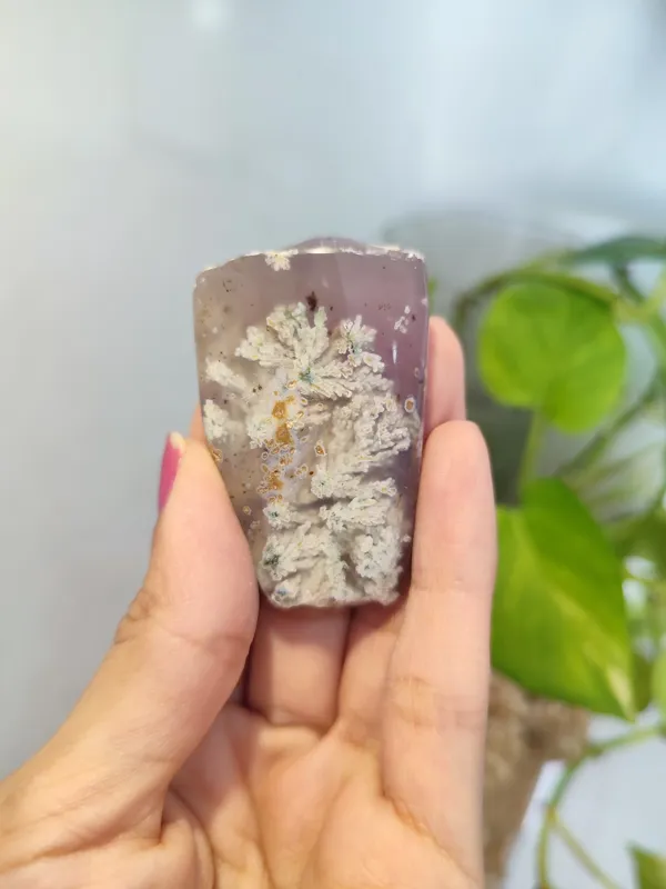 راف شجر بهاری سوسنی کلکسیونی