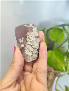 راف