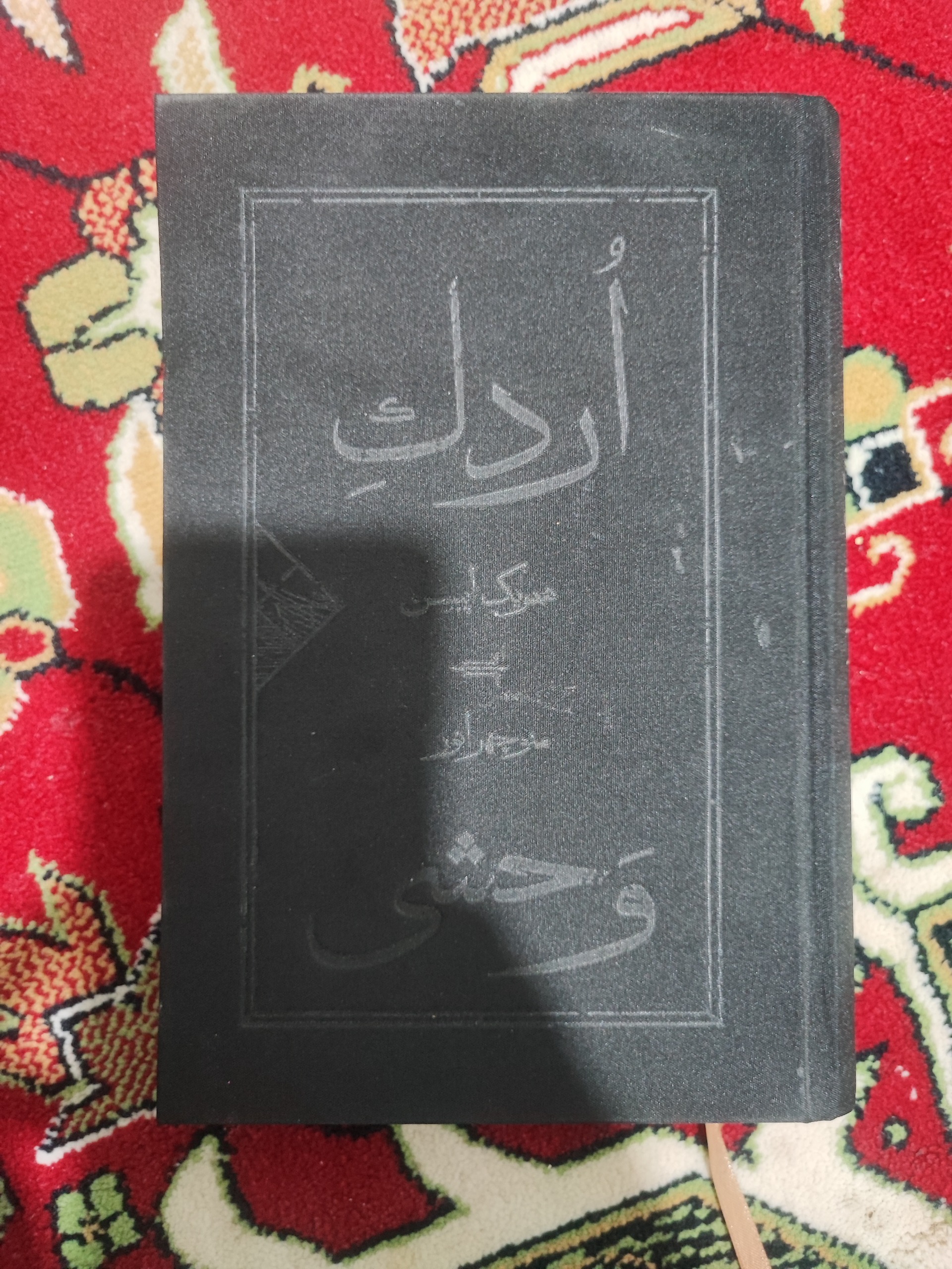 ادبیات و نمایشنامه اردک وحشی نونو