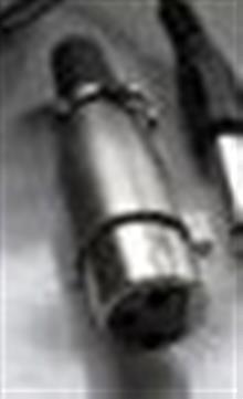 فیش
