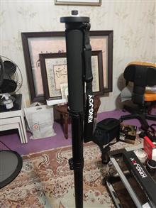 تکپایه