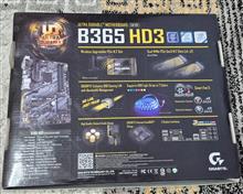B365