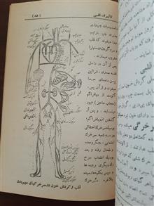 تاثیر