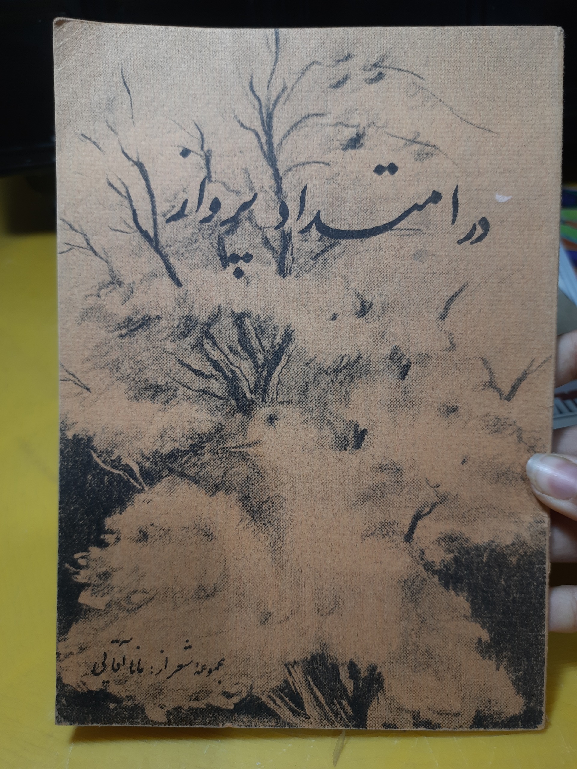 در امتداد پرواز مجموعه شعر مانا اقایی