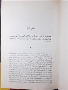 تسخیرشدگان