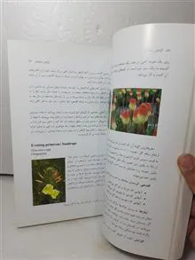 گلکاری