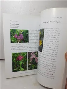 گلکاری