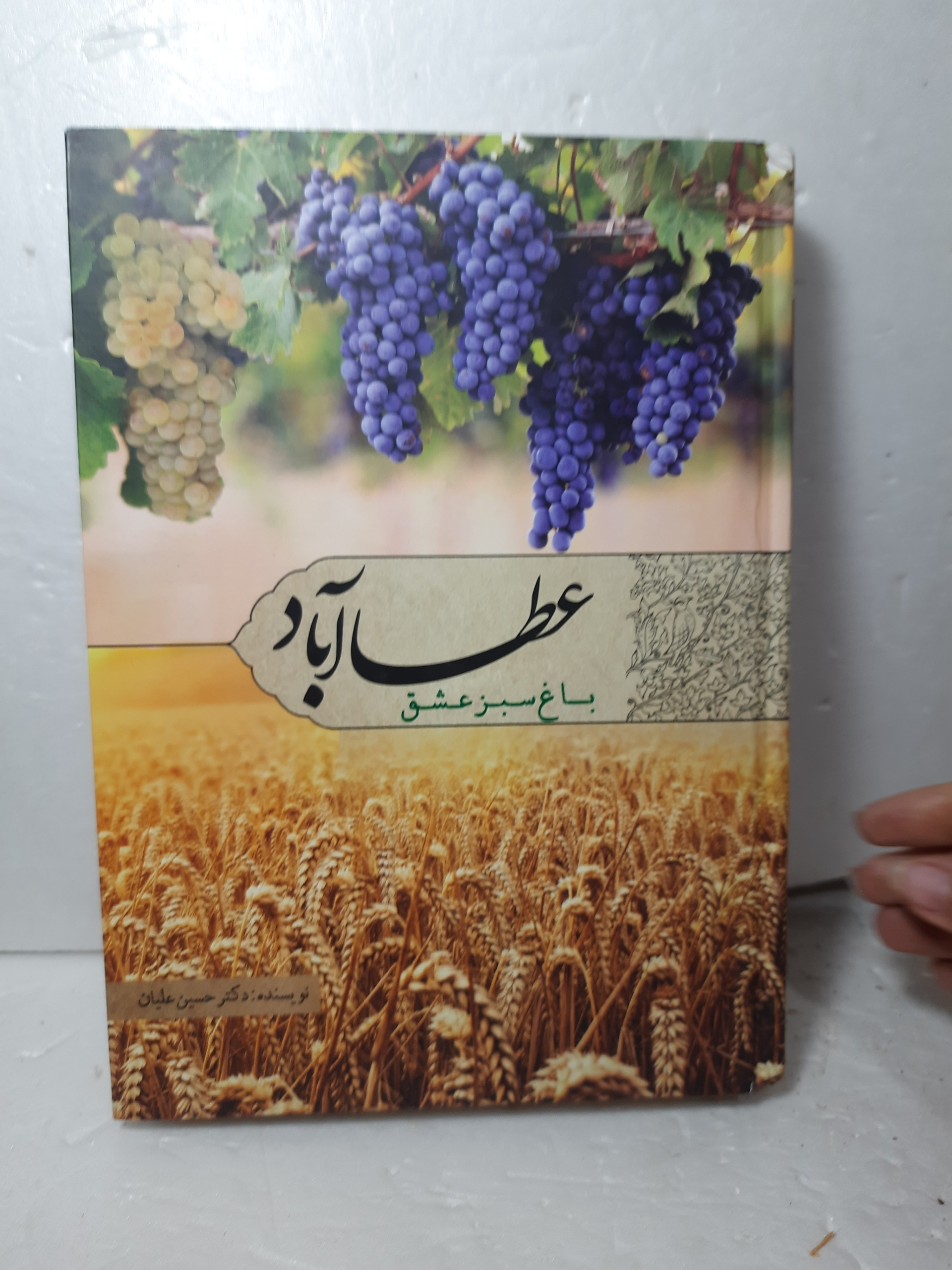 عطا آباد باغ سبز عشق از اولیایی بررسی تاریخ مشاهیر