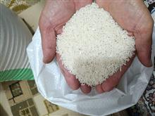 برنج
