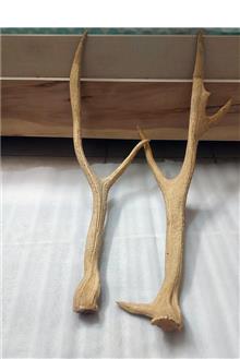 یک