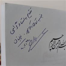 شمنیسم