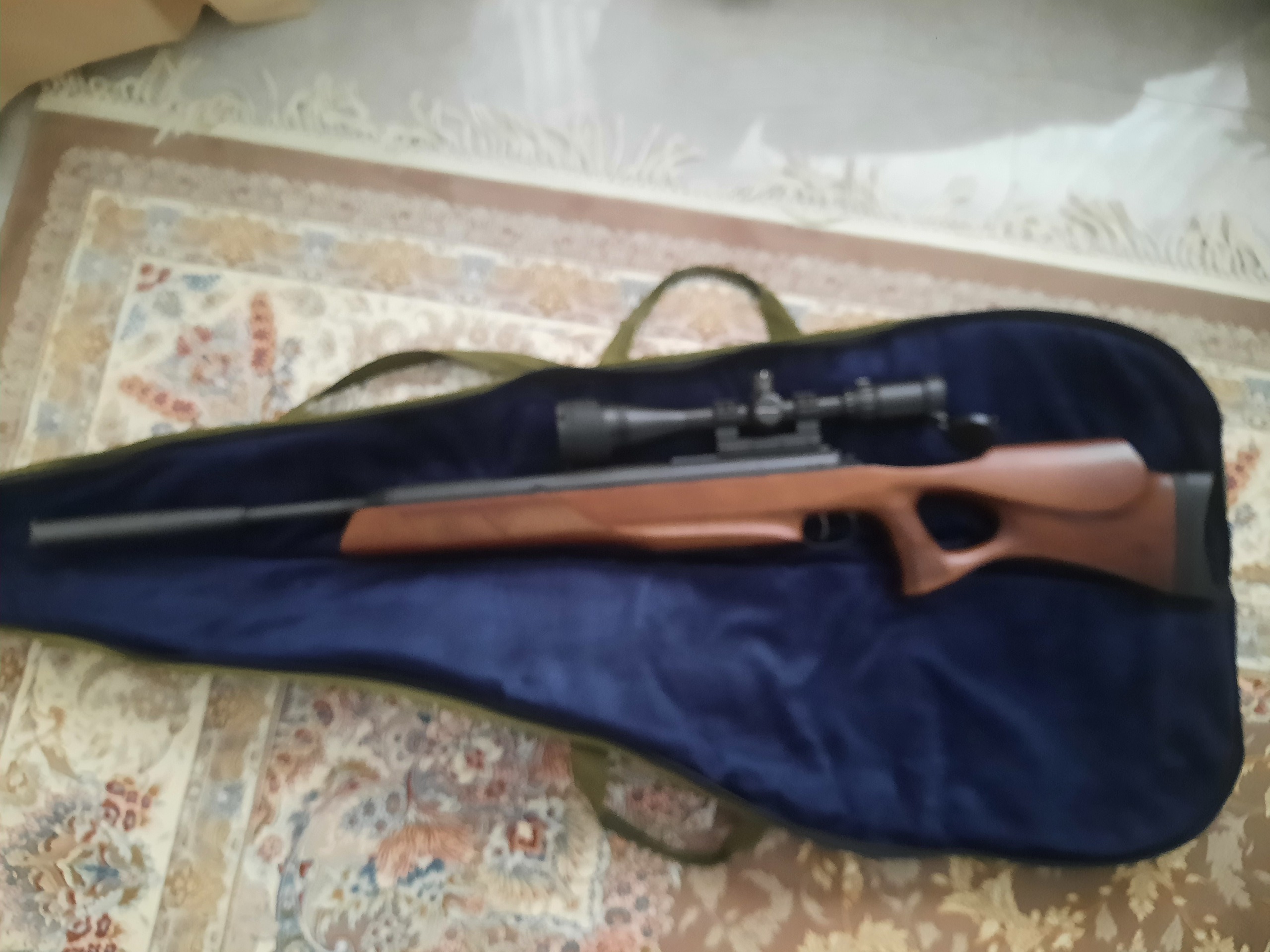 دیانا 56 درحدنو