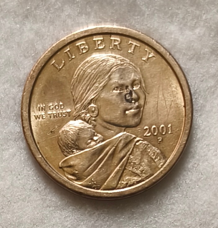 سکه 1 دلاری دختر سرخپوست سال 2001