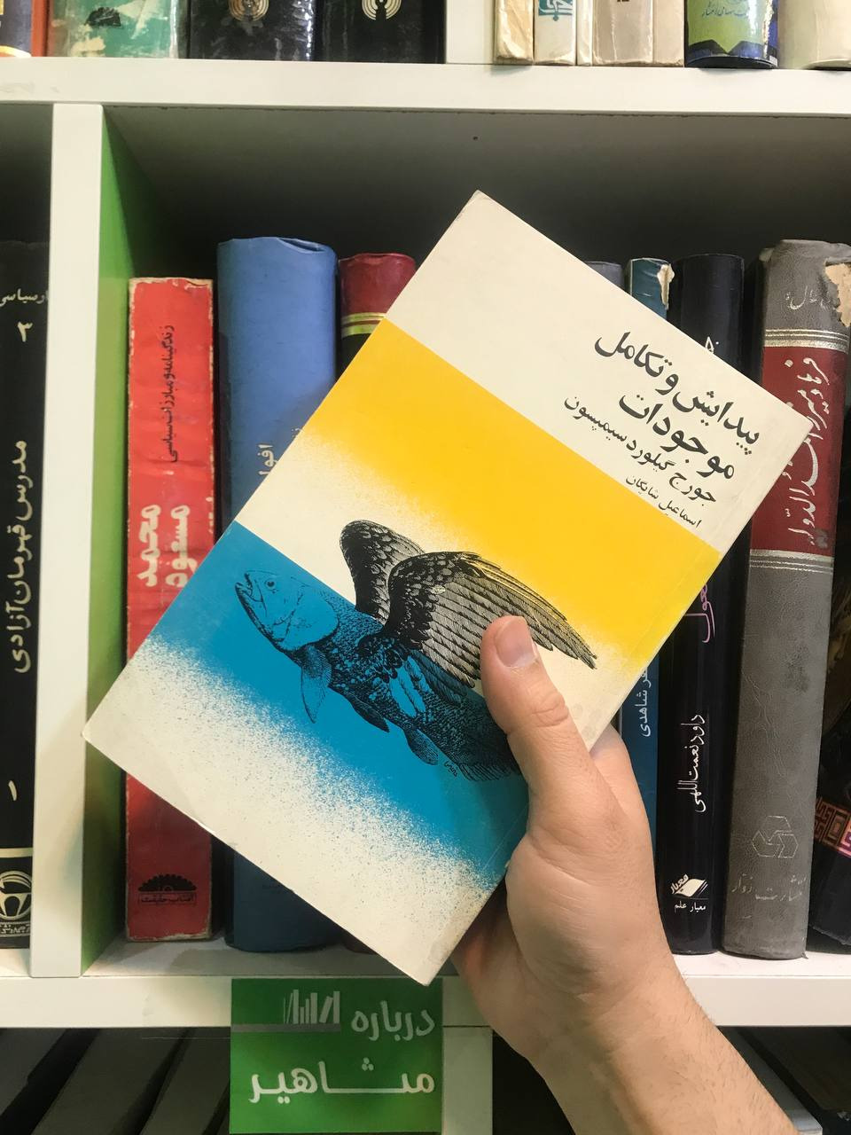 پیدایش و تکامل موجودات