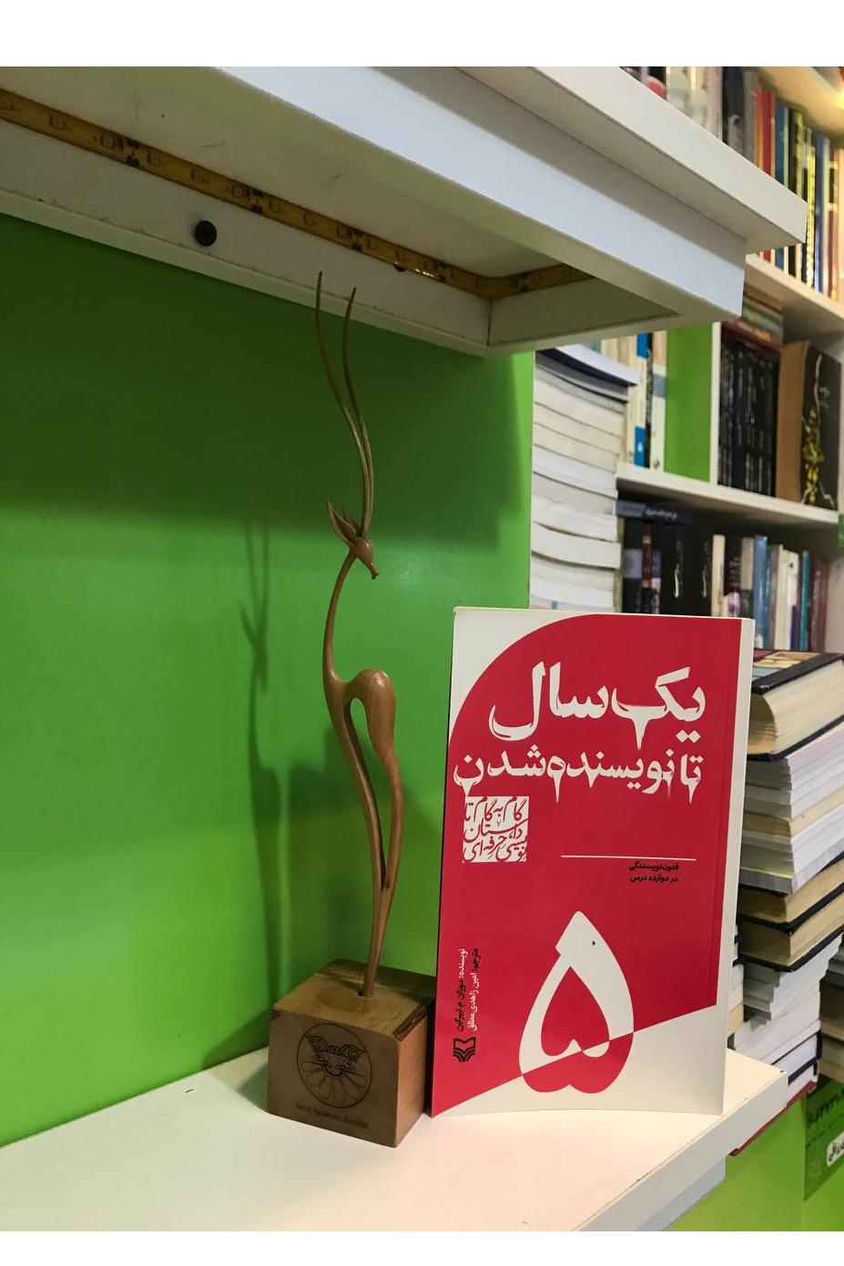 یک سال تا نویسنده شدن