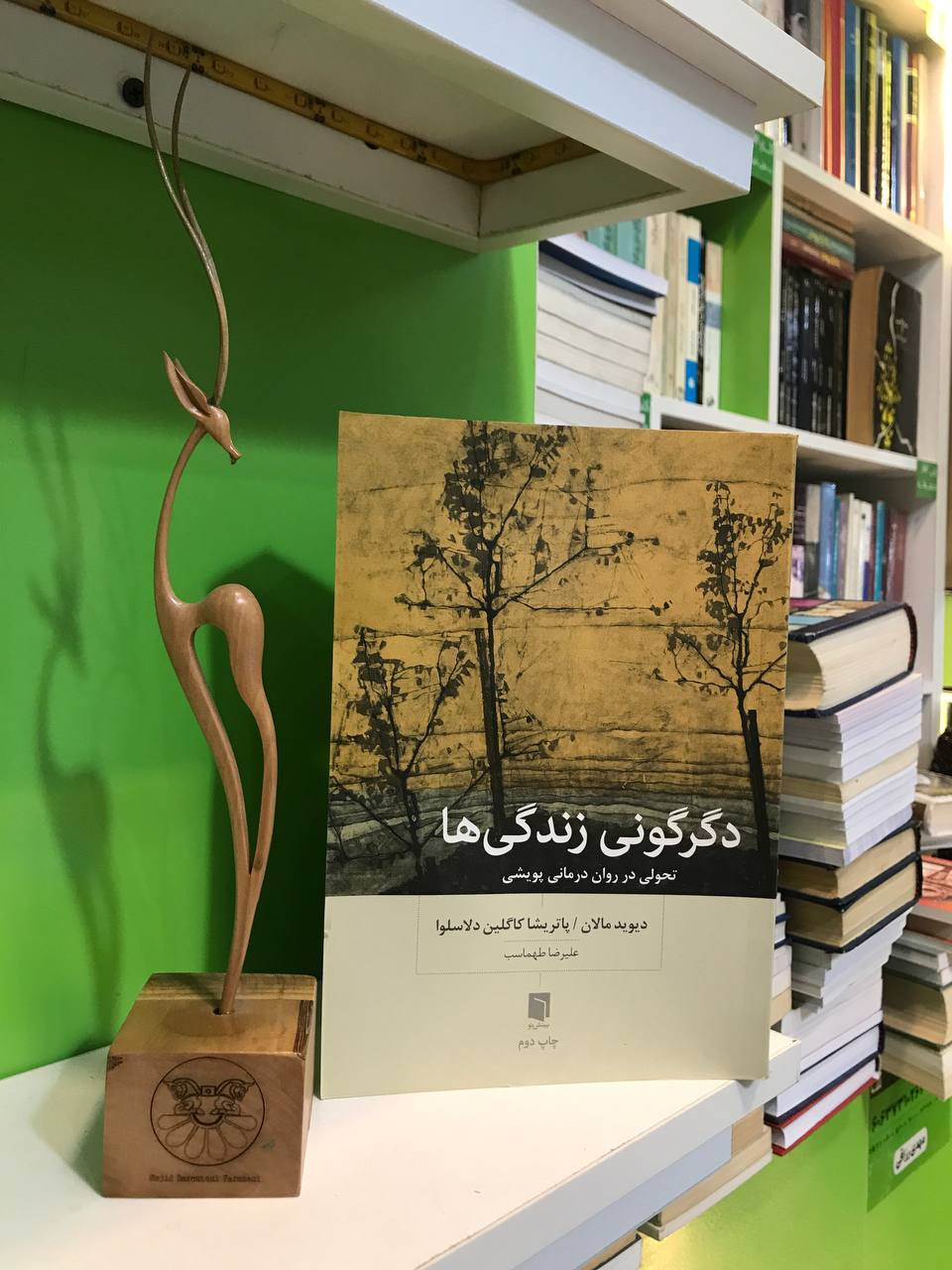 دگرگونی زندگی ها(تحولی در رئان در مانی پویشی)