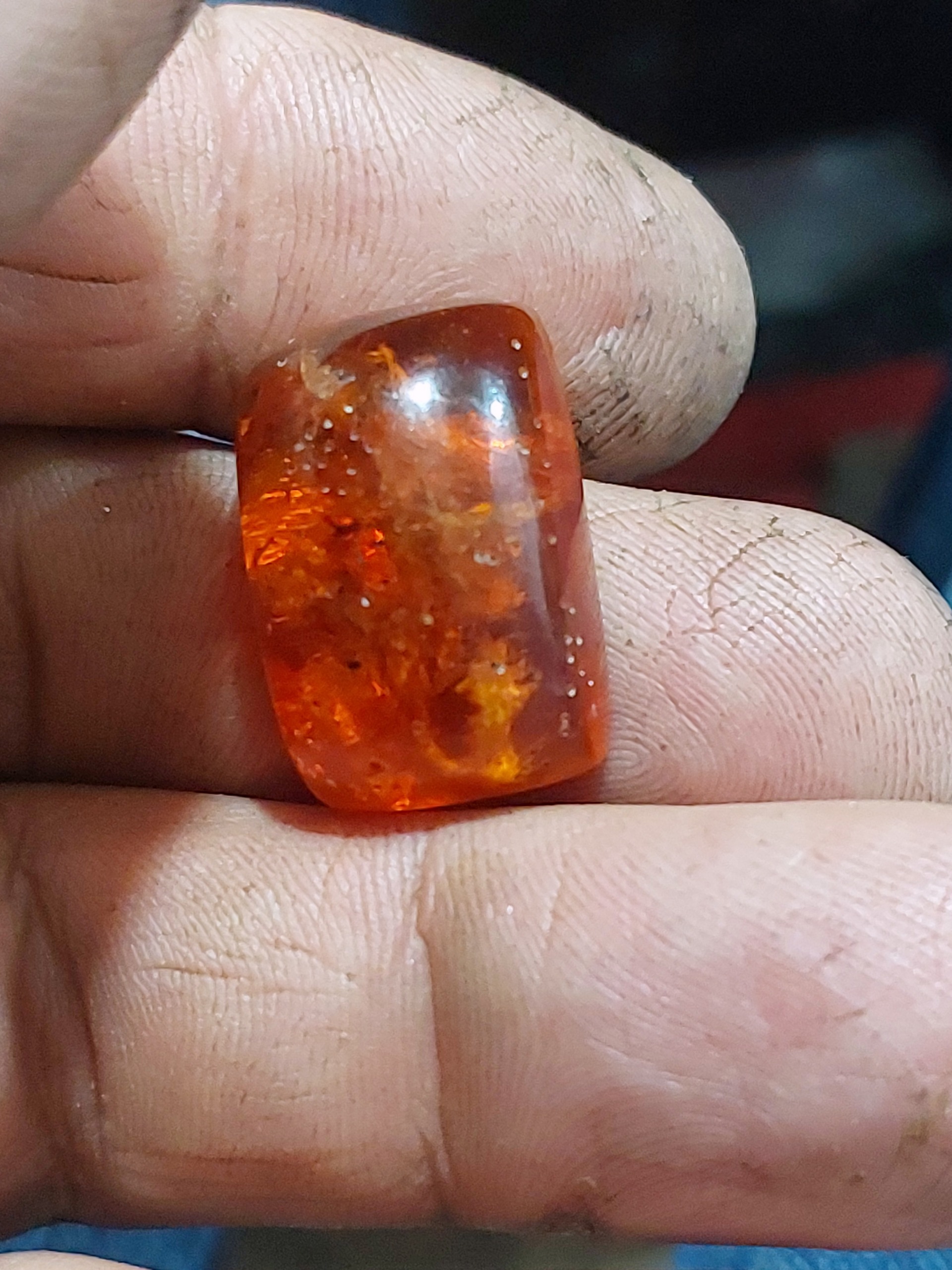 کهربا طبیعی بالتیک