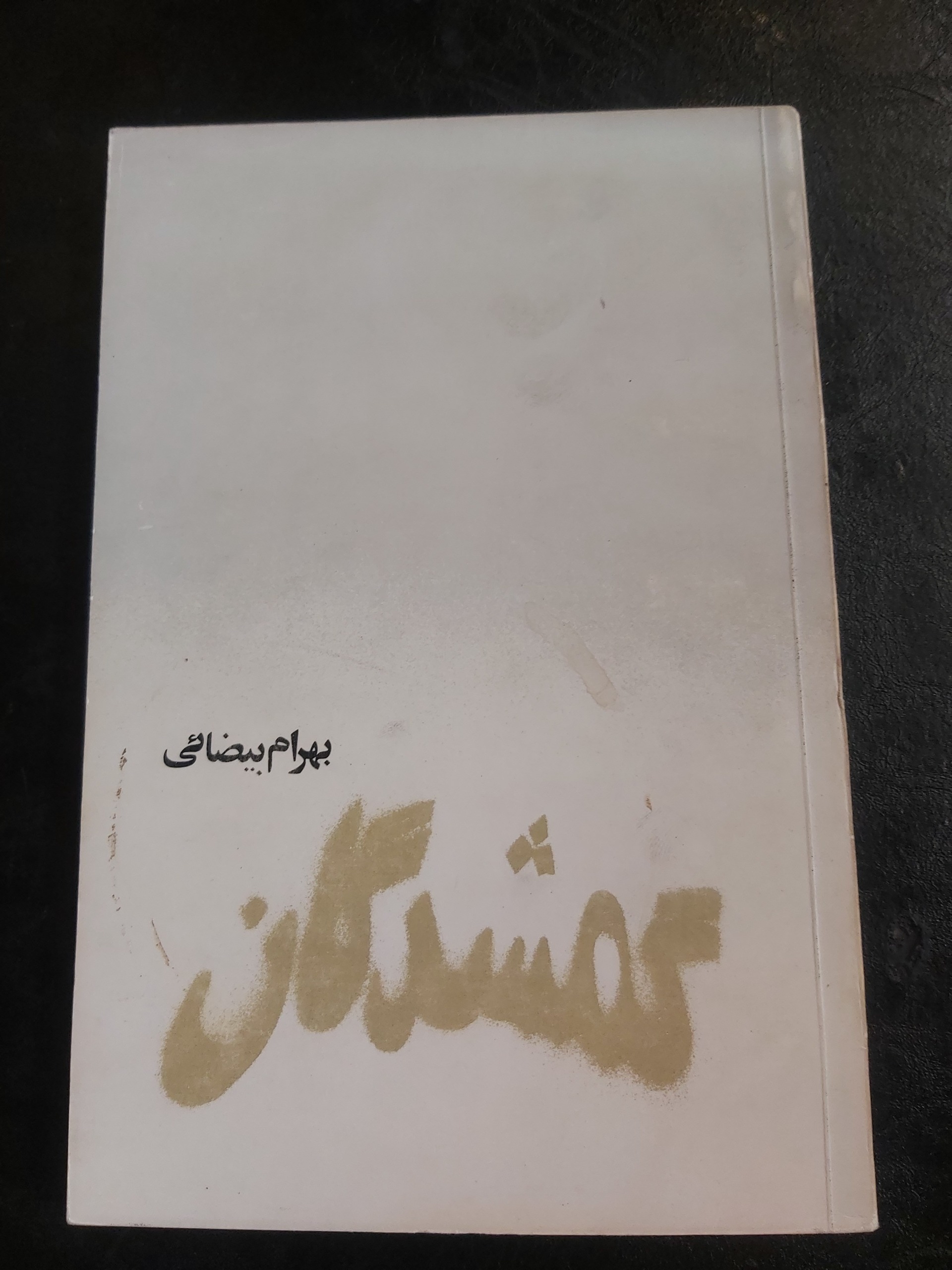 گمشدگان بهرام بیضائی