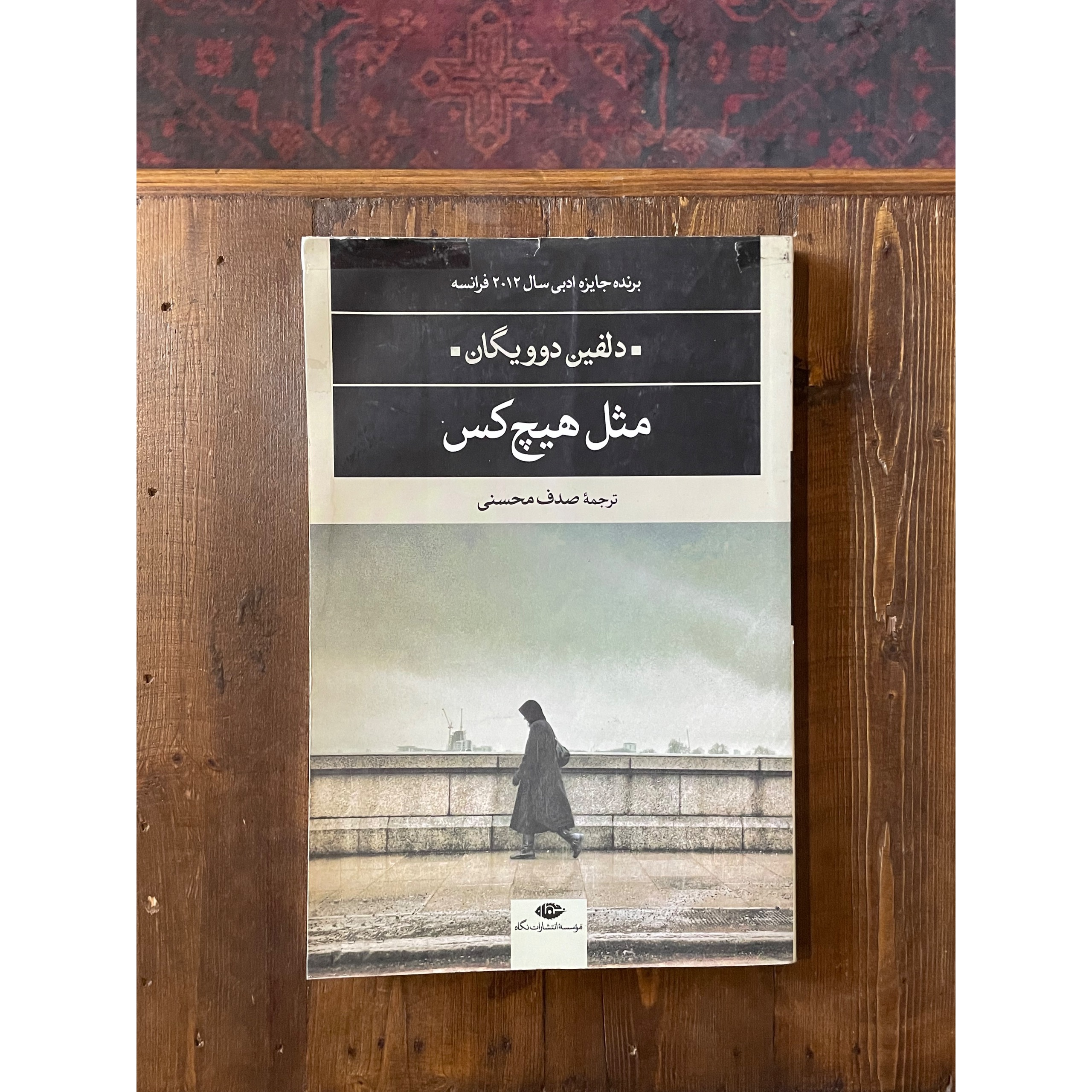 مثل هیچ کس | دلفین دوویگان