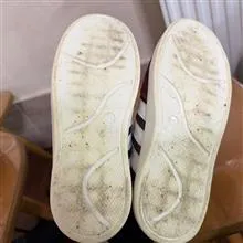 کفش