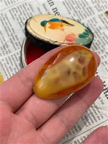 کهربا