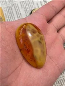 کهربا