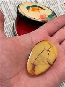 کهربا