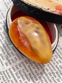 کهربا