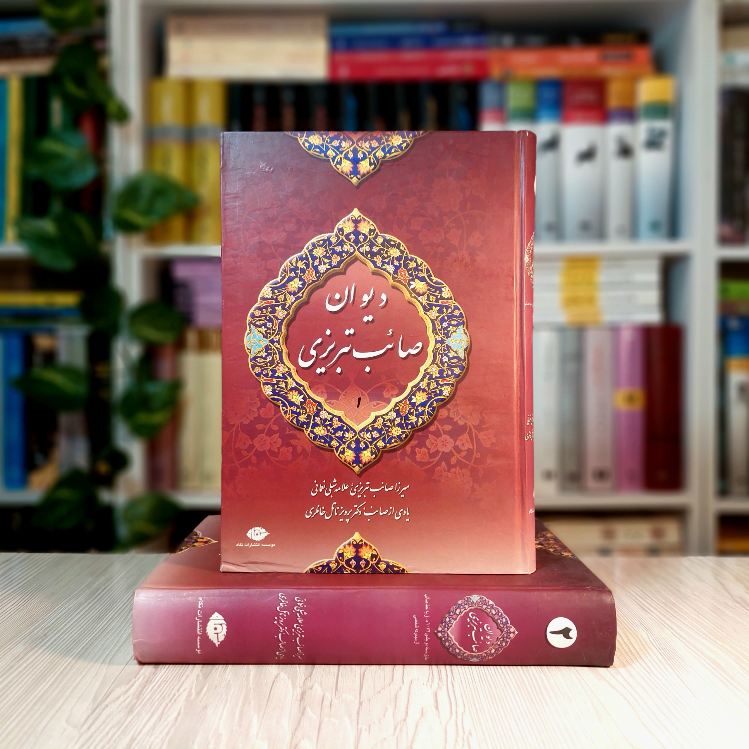 دیوان صائب تبریزی (دو جلدی)