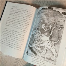انسان