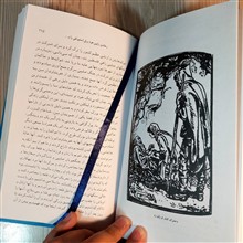 رابین