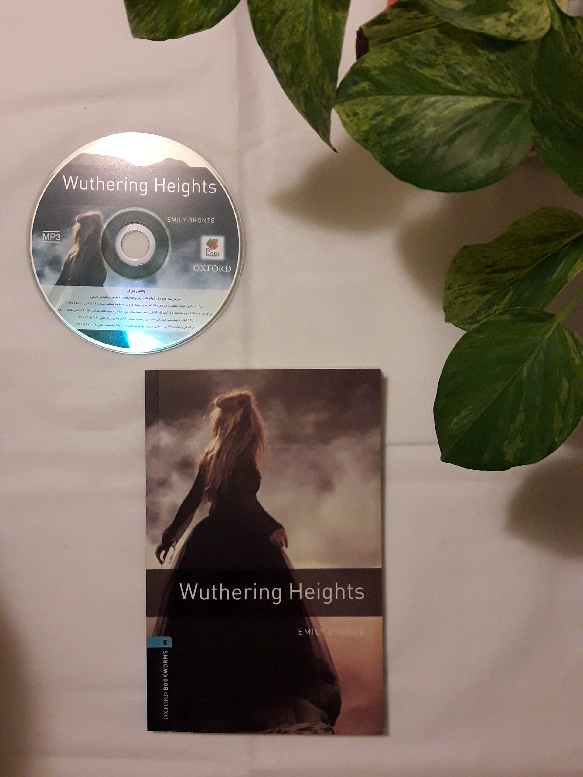 Wuthering Heights