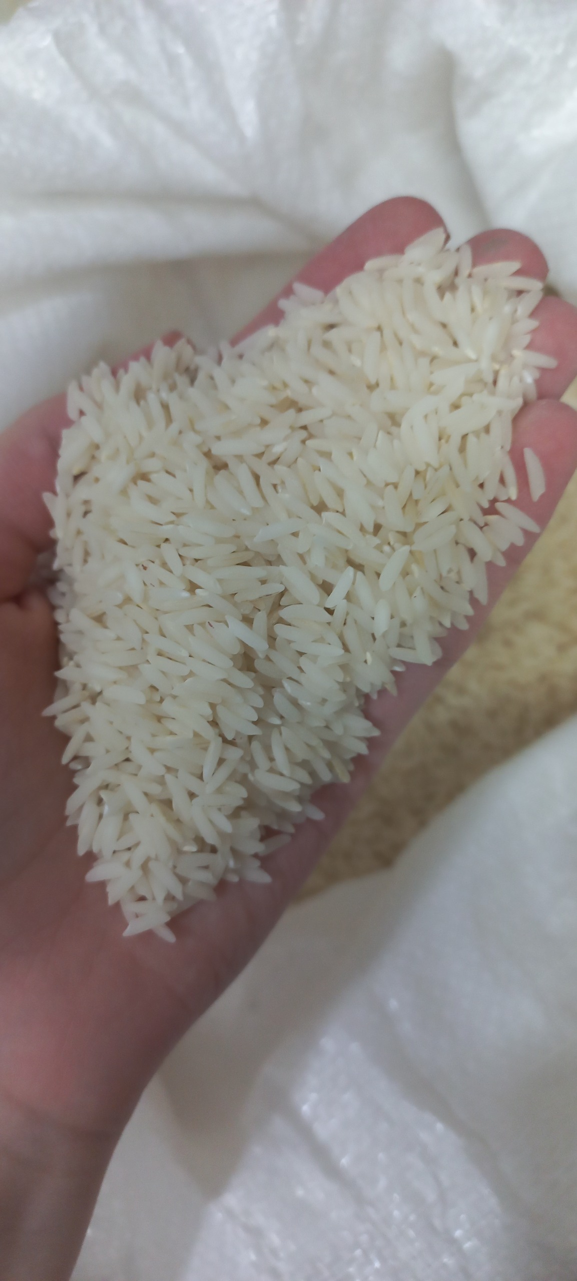 برنج طارم صدری معطر