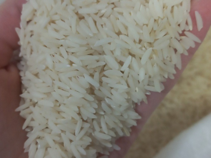 برنج طارم صدری