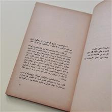 گزیده