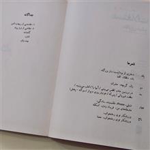 مستغلات