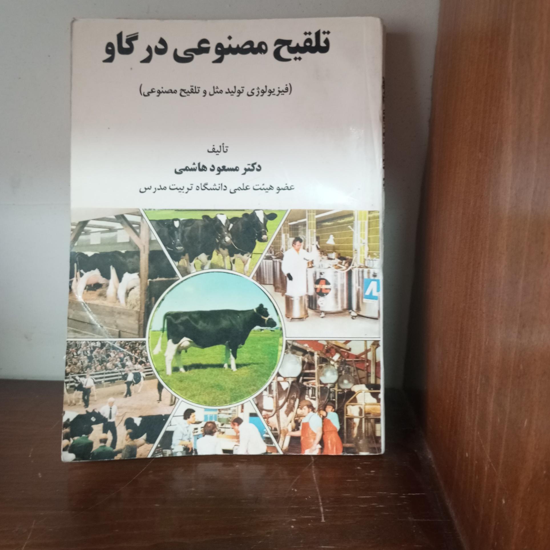 تلقیح مصنوعی در گاو