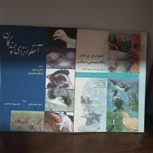 آنفولانزای