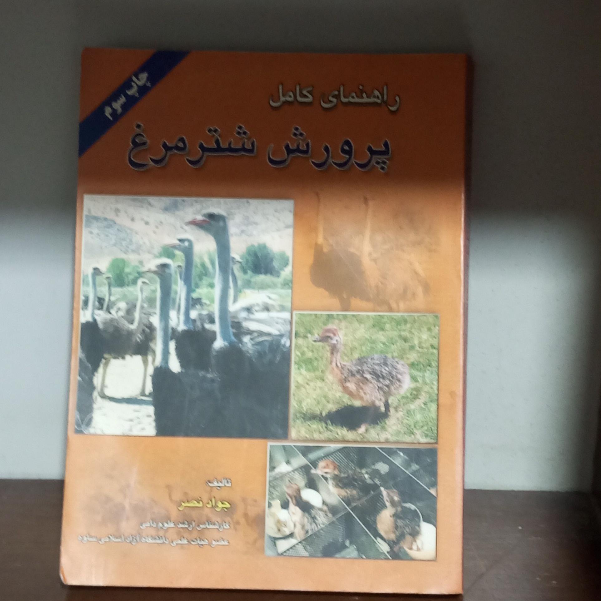 راهنمای کامل پرورش شتر مرغ