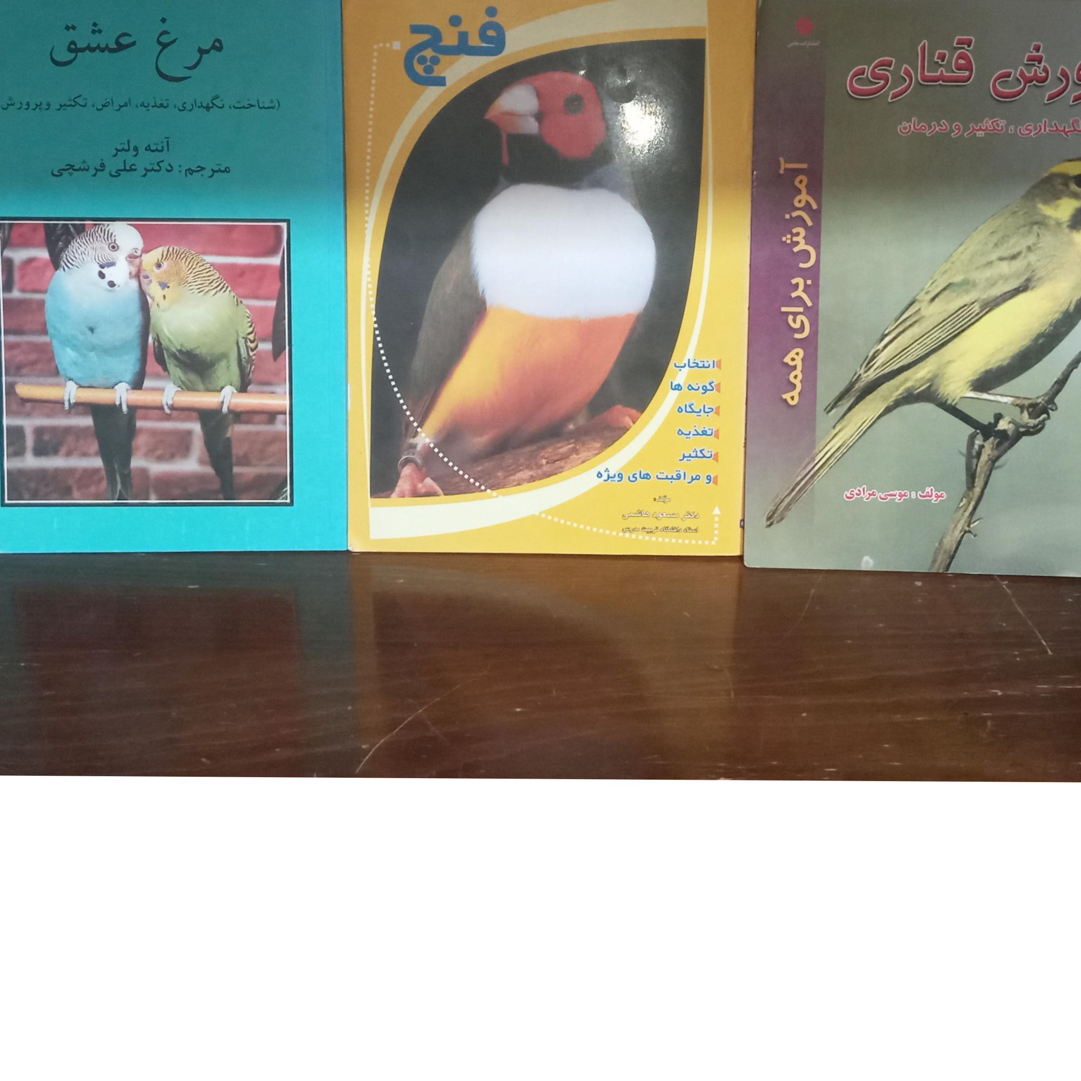 3 جلدی قناری، فنچ ،مرغ عشق