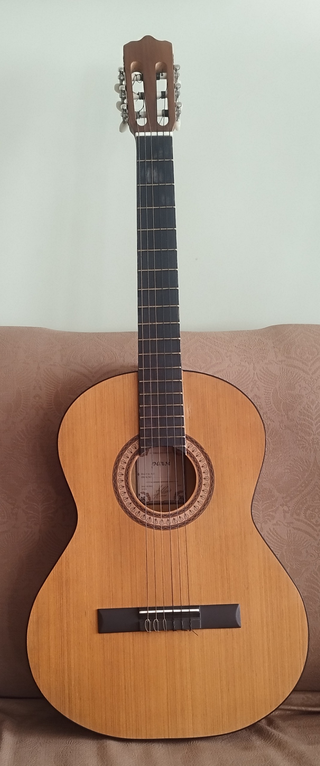 گیتار همراه با سافت کیس