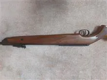 دیانا