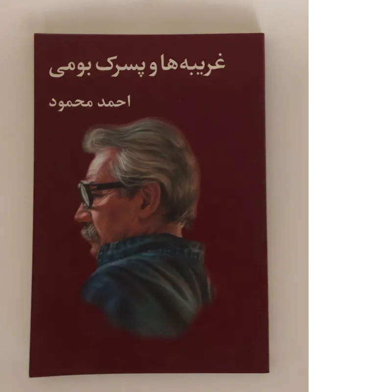 غریبه ها و پسرک بومی