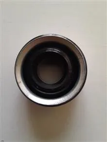 کاسه