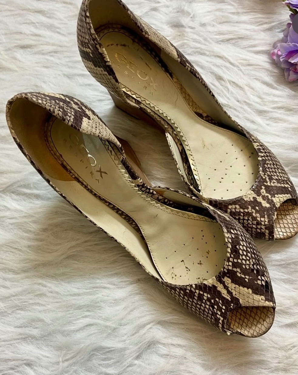کفش مجلسی و روزمره